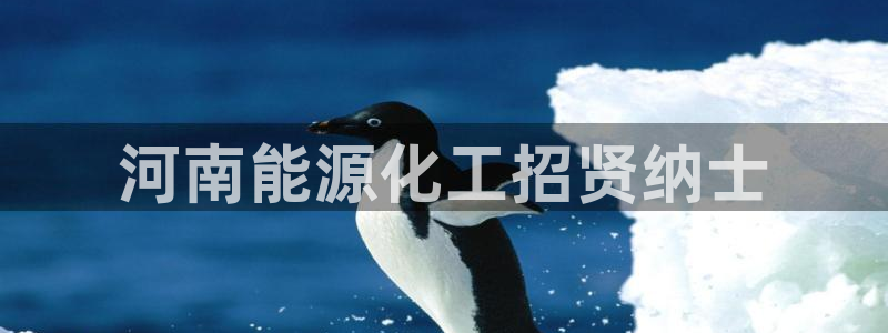 千亿球盟会：河南能源化工招贤纳士