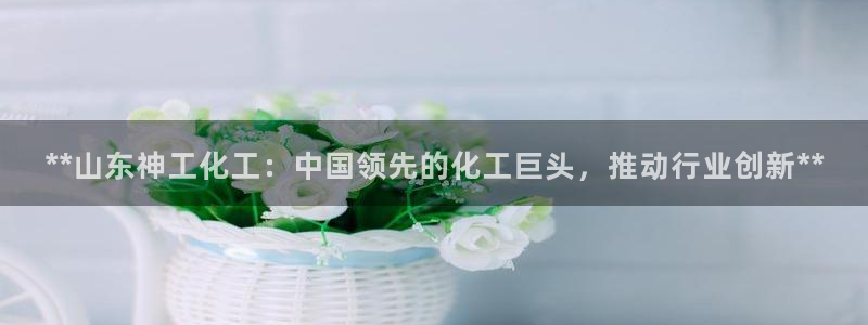 球盟会app最新地址在哪找：**山东神工化工：中国领先的化工