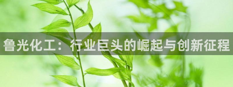 球盟会里面有打牌的嘛是真的吗