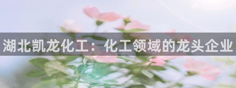 球盟会国际官网