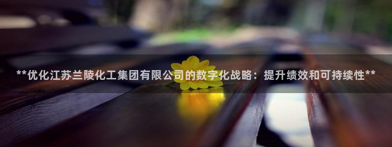 球盟会qmh：**优化江苏兰陵化工集团有限公司的数字化战略：