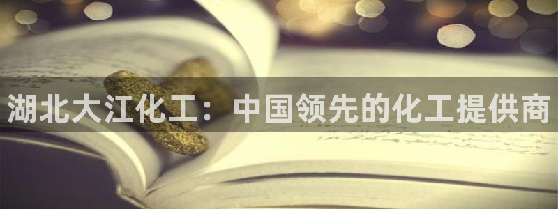 球盟会最新网：湖北大江化工：中国领先的化工提供商