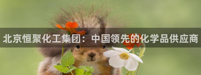 球盟会登陆：北京恒聚化工集团：中国领先的化学品供应商