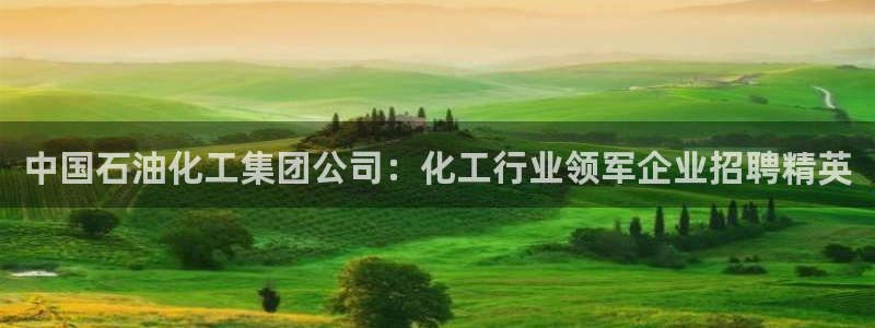球盟会体育app官方网站：中国石油化工集团公司：化工行业领军
