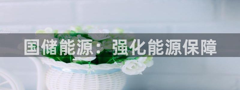 球盟会登录平台入口：国储能源：强化能源保障