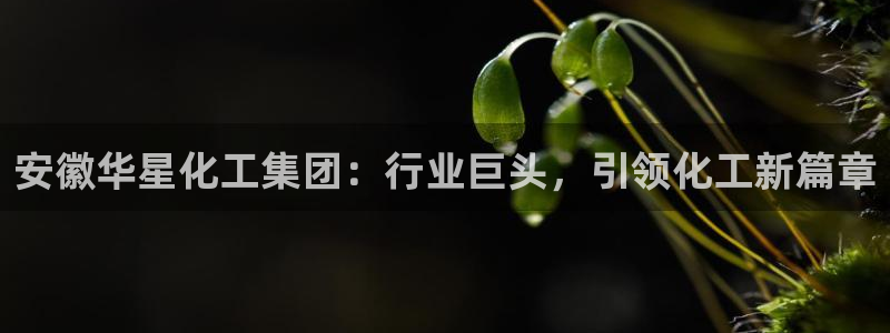 球盟会网页登录