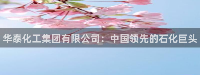 球盟会封禁：华泰化工集团有限公司：中国领先的石化巨头