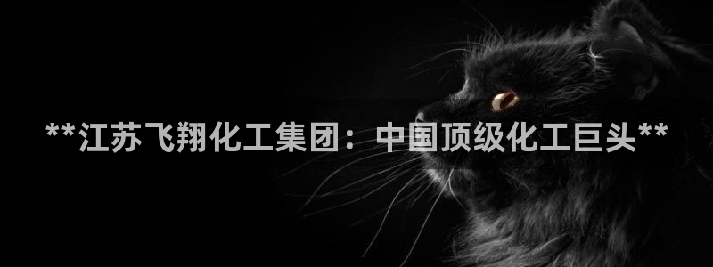 球盟会黑款吗还是白款：**江苏飞翔化工集团：中国顶级化工巨头
