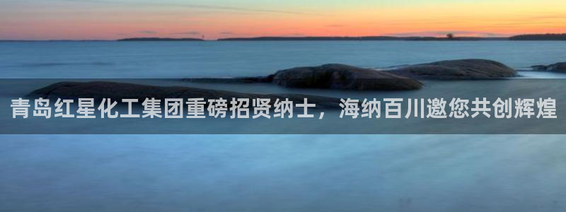 球盟会中国网页登录