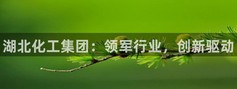 球盟会黑款吗还是白款