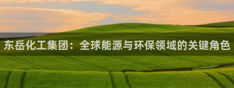 球盟会官方网页登录：东岳化工集团：全球能源与环保领域的关键角