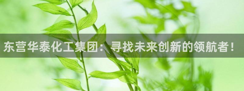 球盟会中国官方网站：东营华泰化工集团：寻找未来创新的领航者！