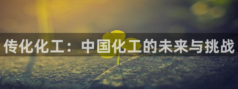 球盟会能退钱吗知乎：传化化工：中国化工的未来与挑战