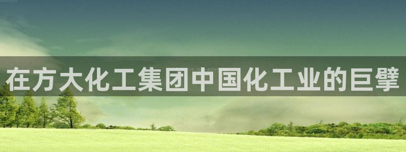 球盟会最新：在方大化工集团中国化工业的巨擘