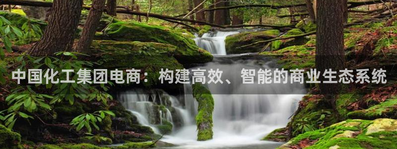 球盟会登录入口：中国化工集团电商：构建高效、智能的商业生态系