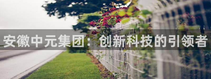 球盟会平台怎么样：安徽中元集团：创新科技的引领者