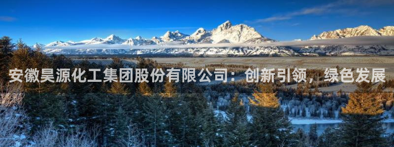 球盟会官方最新入口：安徽昊源化工集团股份有限公司：创新引领，