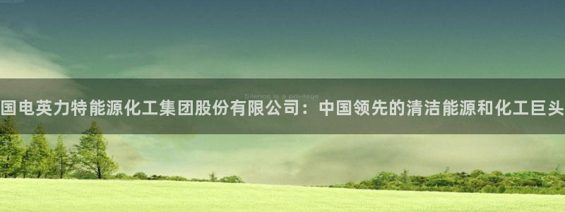 球盟会综合体育平台怎么样：国电英力特能源化工集团股份有限公司