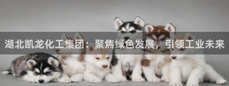 球盟会出款黑了：湖北凯龙化工集团：聚焦绿色发展，引领工业未来