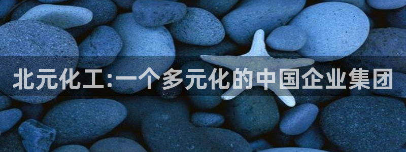 球盟会黑款吗知乎小说：北元化工:一个多元化的中国企业集团
