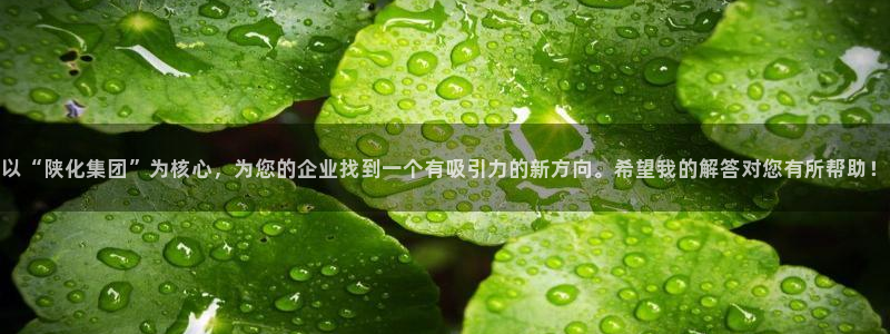 球盟会黑款吗知乎文章：以“陕化集团”为核心，为您的企业找到一