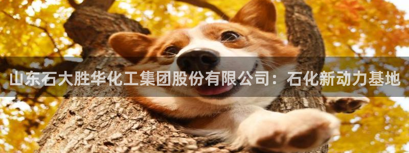 球盟会登陆中心：山东石大胜华化工集团股份有限公司：石化新动力