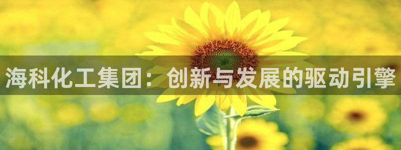 球盟会qm9：海科化工集团：创新与发展的驱动引擎