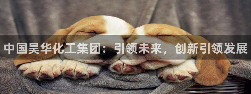 球盟会在线官网：中国昊华化工集团：引领未
