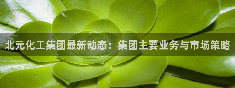 球盟会地址