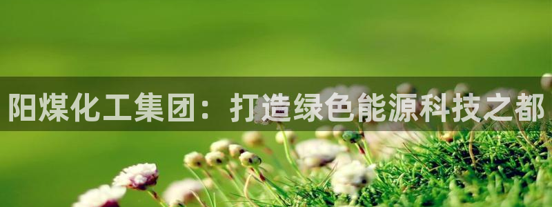 球盟会贴吧