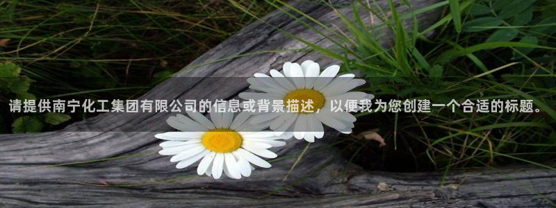 球盟会黑
