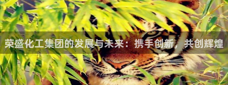 球盟会官方网站是什么