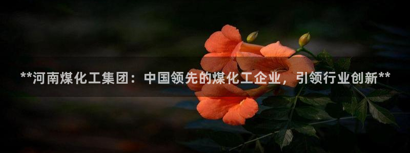 球盟会qmh网址