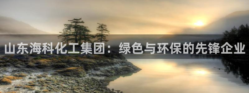 球盟会登陆：山东海科化工集团：绿色与环保的先锋企业