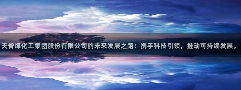 球盟会游戏几点玩合适：天脊煤化工集团股份