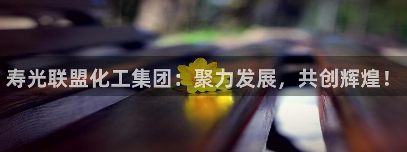 球盟会和中欧