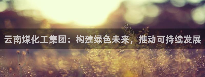 球盟会官方：云南煤化工集团：构建绿色未来
