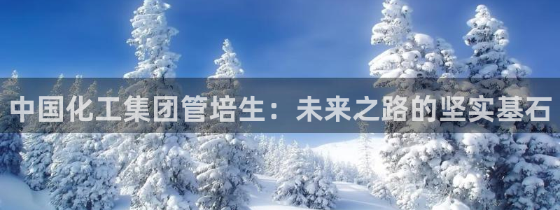 球盟会最新网：中国化工集团管培生：未来之路的坚实基石