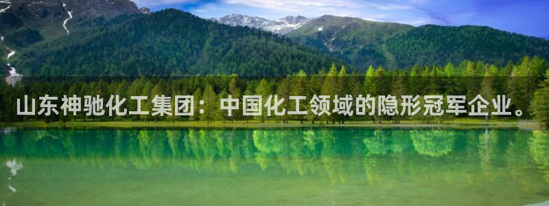 球盟会qm9：山东神驰化工集团：中国化工