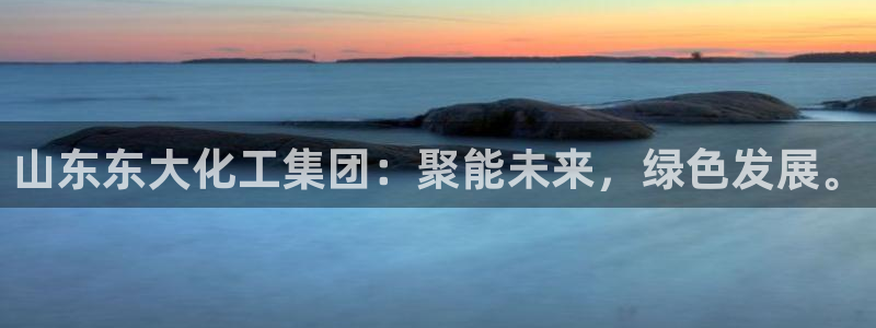 球盟会在线网站：山东东大化工集团：聚能未来，绿色发展。