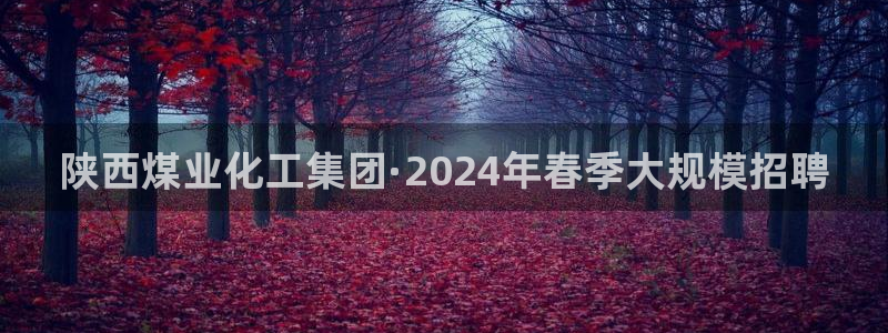球盟会福利码2023最简单三个步骤：陕西煤业化工集团·202