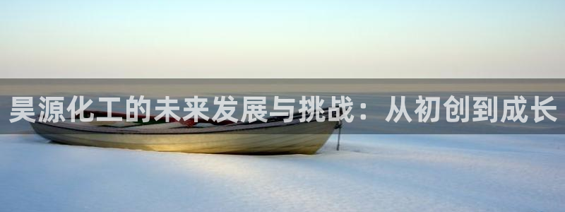 球盟会黑网：昊源化工的未来发展与挑战：从初创到成长