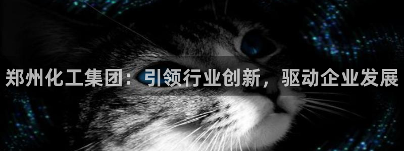球盟会qmh电子网页版登录：郑州化工集团：引领行业创新，驱动
