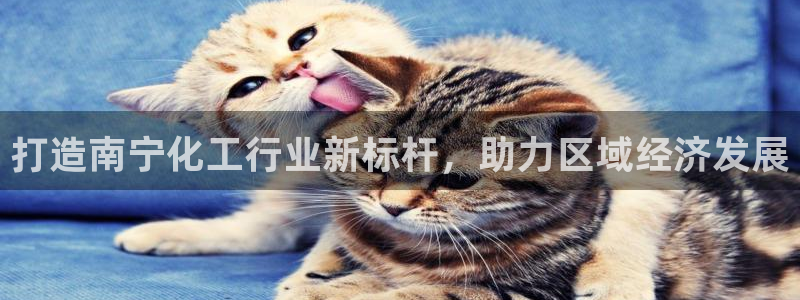球盟会登录网址：打造南宁化工行业新标杆，助力区域经济发展