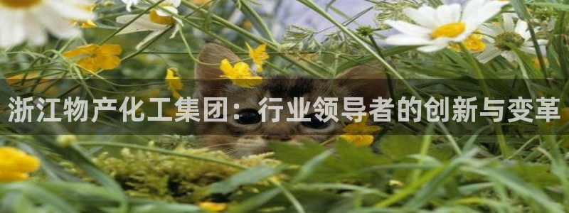 千亿球盟会：浙江物产化工集团：行业领导者的创新与变革