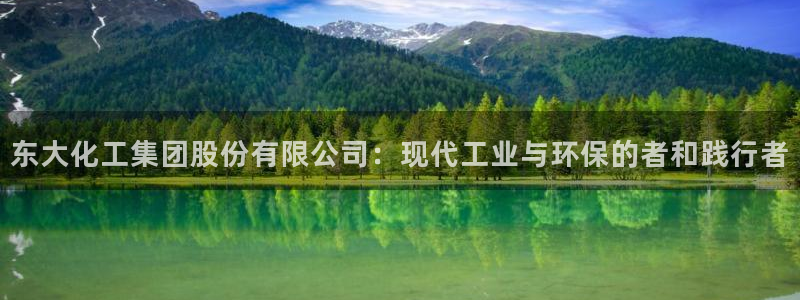 球盟会电子：东大化工集团股份有限公司：现代工业与环保的者和践