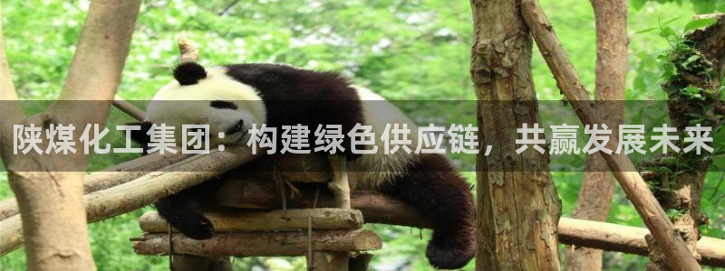 球盟会qmh - 球盟会官方网站：陕煤化工集团：构建绿色供应