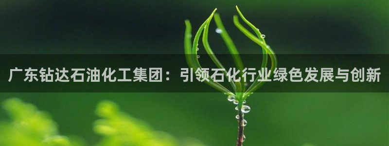 球盟会黑款吗是真的吗：广东钻达石油化工集