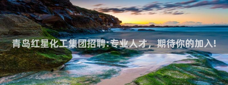 千亿球盟会