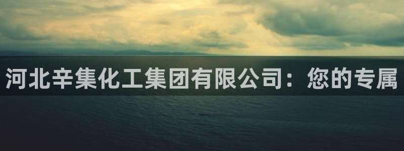 千亿球盟会乐玩：河北辛集化工集团有限公司：您的专属
